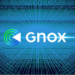 GNOX Set To Overtake APE, MATIC As Token’s Price Continues Ascent