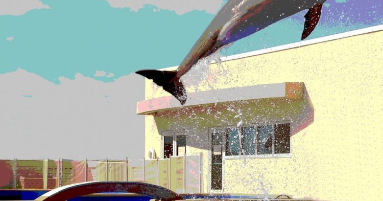 Synthetix's SNX Rises 14% on Liquidity Deal Renewal With Jump Crypto