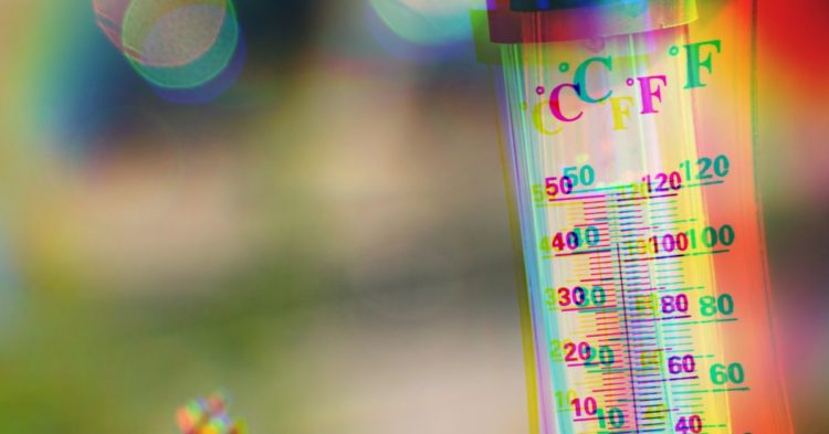 Analysts See Recovery for CEL Token Despite Celsius Bankruptcy