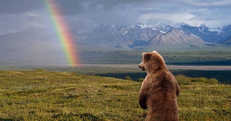 What Traders Are Saying About Bitcoin's Biggest Monthly Loss in 11 Years