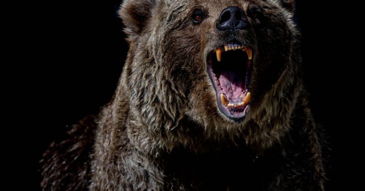 Bitcoin Dips Below $21K; Why the Current Bear Market Differs From 2018