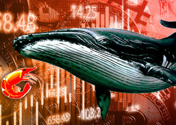 Shrimps vs. Whales — Small holders accumulate Bitcoin as whales dump