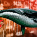 Shrimps vs. Whales — Small holders accumulate Bitcoin as whales dump
