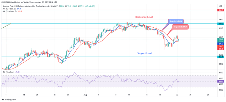 Bears Are in Control, Tamadoge Obeying Bulls
