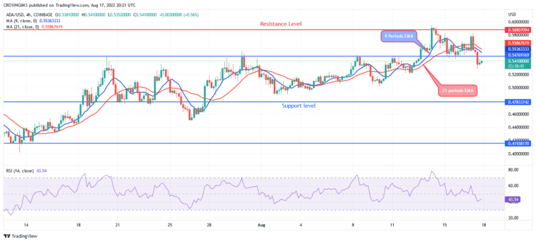 Cardano Price Is Declining, Tamadoge Is Inclining
