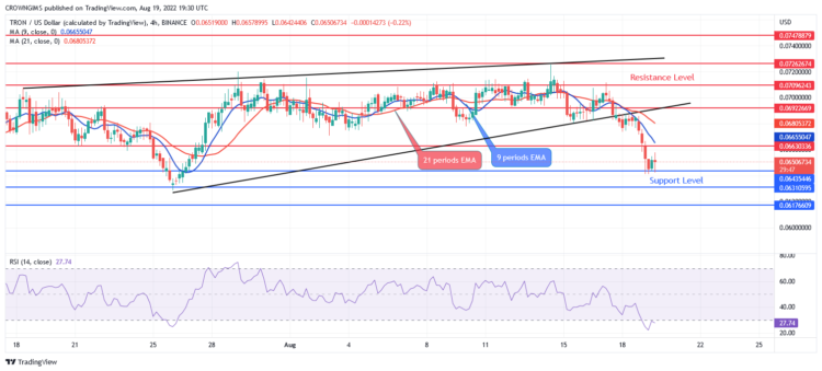 Further Decrease Envisaged, Tamadoge Targeting Higher Level