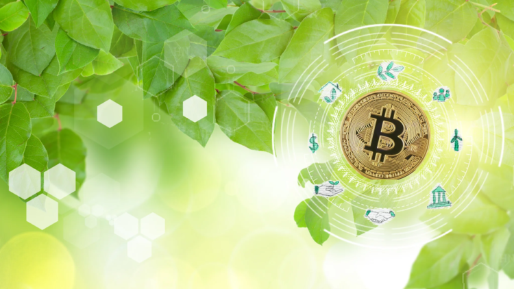 Interview with Timothy Wong, Head of Impact Lab at AAX