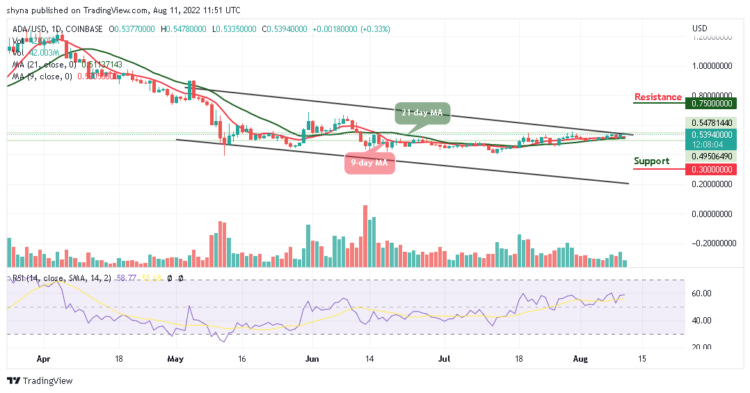 ADA Resumes Consolidation Above $0.54 Level