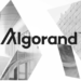 Algorand (ALGO) Posts Double-Digit Price Drops In Last 30 Days