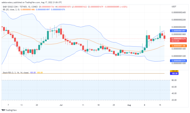 BabyDoge/USDT Is Bearish, Tamadoge Will Retrace Higher Level