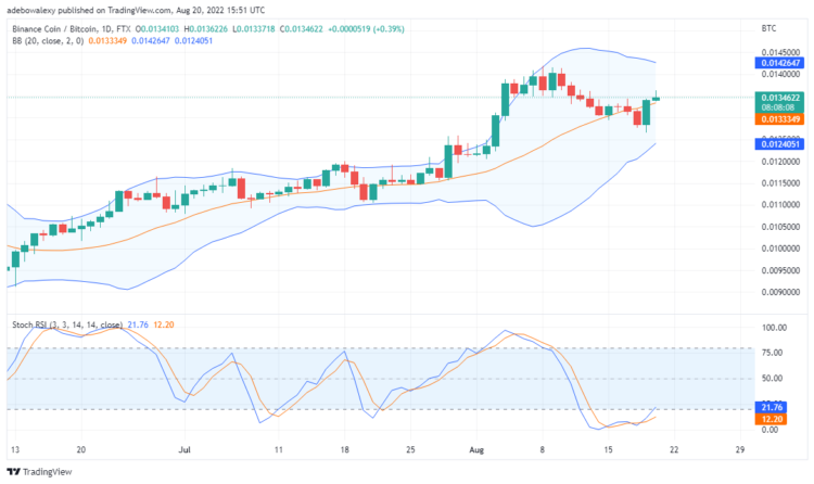 Binance Coin at  Verge of an Uptrend; As Tamadoge Prepares a Bullish Market