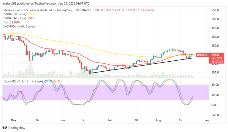 Binance Coin Price Prediction for Today, August 23: BNB Holds Declines