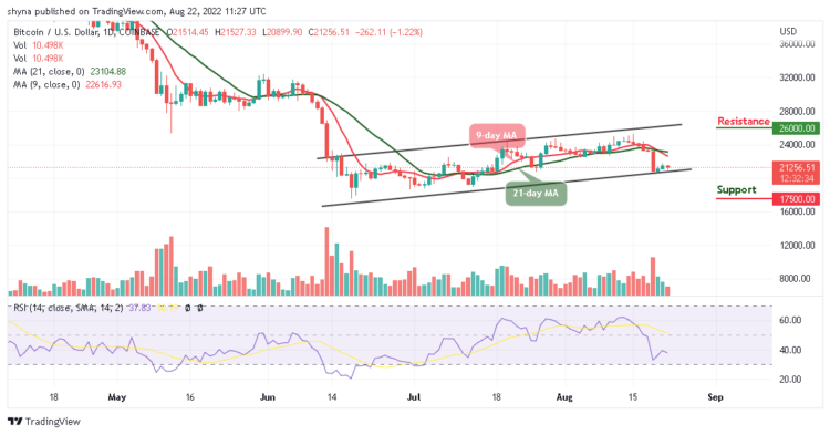 BTC Plummets Under $21,500 as Tamadoge Goes Bullish