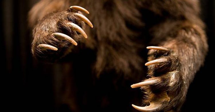 Bitcoin Claws Back Above $20K; Singapore Bank Head’s Speech Reflects Growing Crypto Hostility