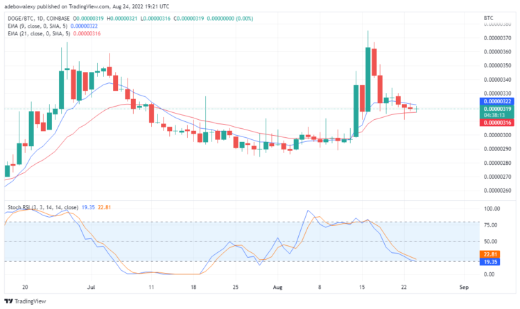 DOGE May Be Attempting a Reversal, but Tama Is the Real Game Changer