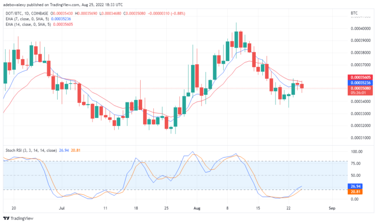 Polkadot May Have Resumed a Downtrend: Tamadoge Remains Upbeat