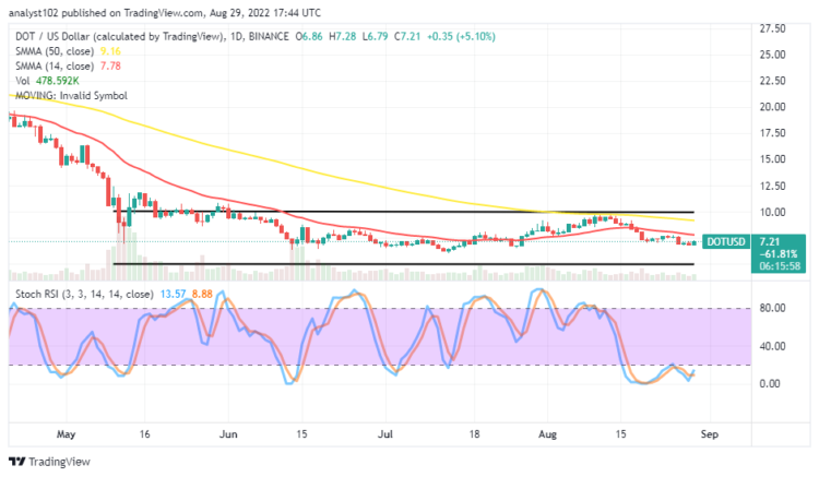 Polkadot Price Prediction for Today, August 30: DOT Looks for Support