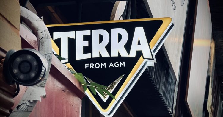 ‘Don’t Say Terra’ and Other Reflections From Korea’s Crypto Extravaganza