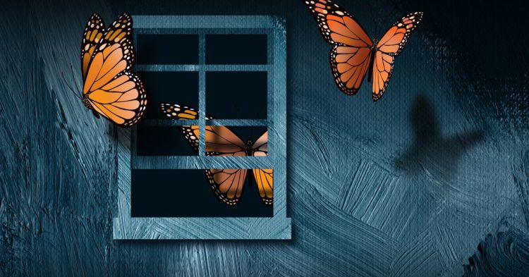 As Censorship on Ethereum Begins, Could This Open-Sourced Code Help Counter It?