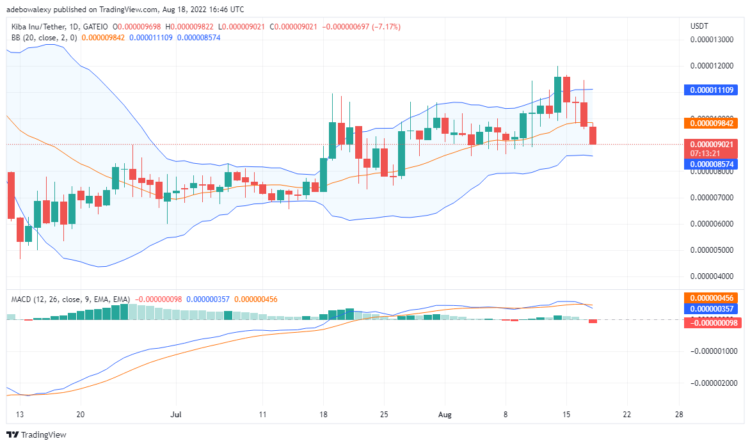 Kiba Trends Downwards, but Tamadoge Is Set for Success