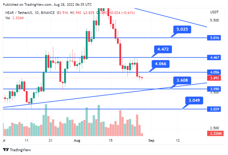 NEAR Protocol Drops 4.48% – Sweatcoin Launch Ahead