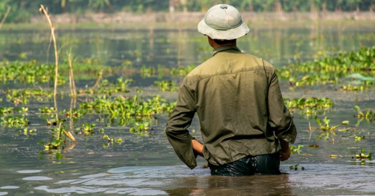 Market Wrap: Bitcoin Pauses Losing Streak but the Trend Is Still Not Bullish