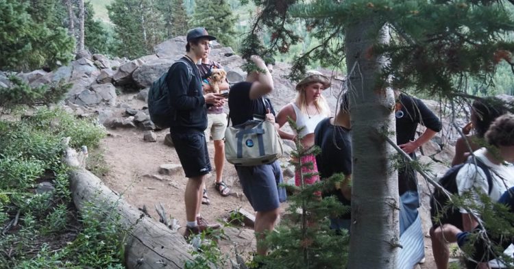 Slow Ventures Raises Stakes on Crypto Governance with ‘Timber sDAO’