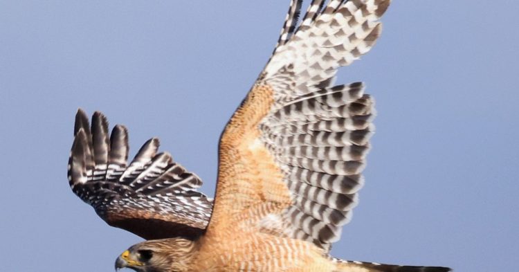 Bitcoin Slumps to Lowest Level in Over a Month After Powell Affirms Hawkish Monetary Policy