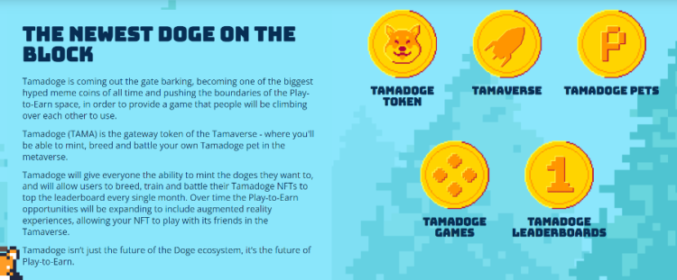 This New Cryptocurrency Coin Will Explode 55x by 2024 Before the Next Bitcoin Halving