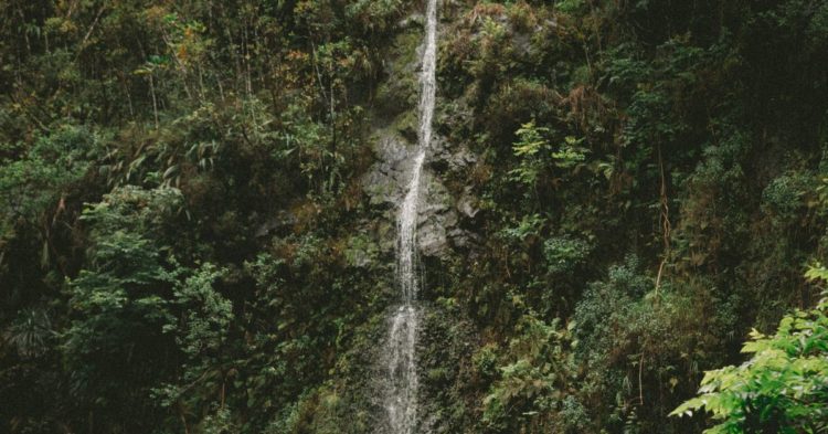 Market Wrap: Bitcoin Falls on Lower Volume and Decreased Volatility