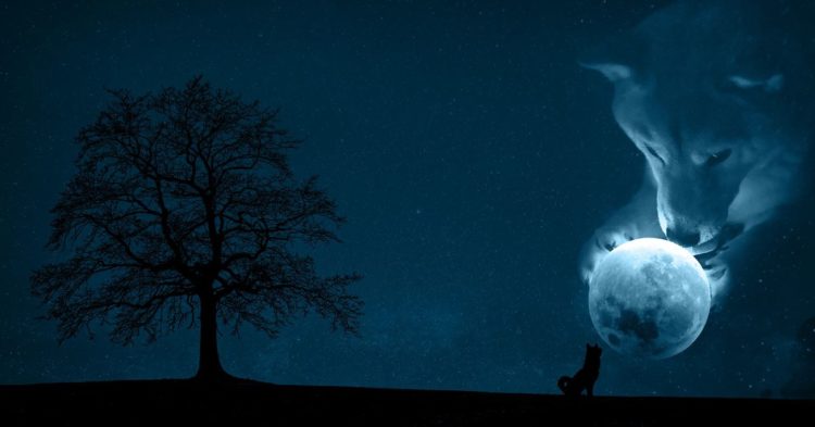 Crypto Analysts Reject Latest DOGE, SHIB Rally as Contrarian Signal