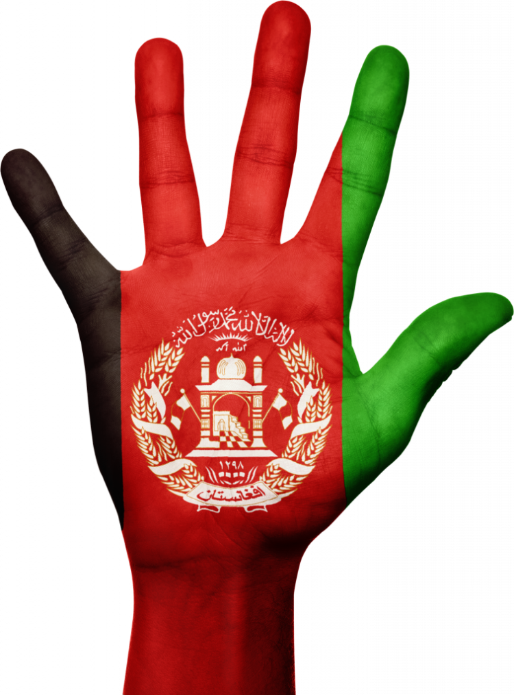 Taliban bans cryptos in Afghanistan, shuts down crypto businesses