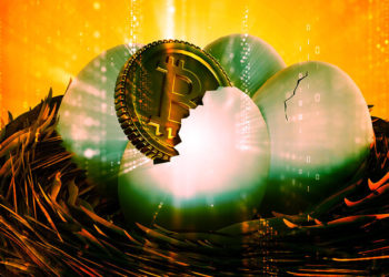 What a complete yolk! Comparing Bitcoin to Eggs and why it matters