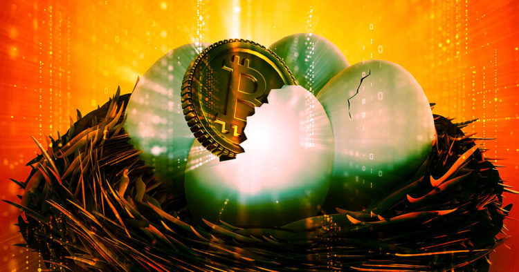 What a complete yolk! Comparing Bitcoin to Eggs and why it matters