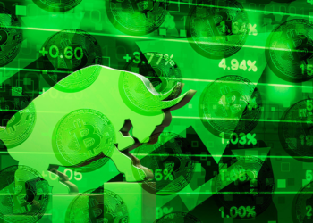 Accumulation addresses – omens of a bull run?