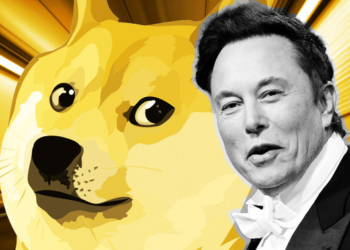 Dogecoin utility expands with ‘Teslas in Tunnels’ from the Boring Company