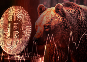 Bear market cycles see long-term holders capitulate and then accumulate