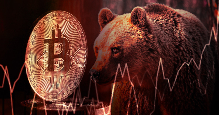 Bear market cycles see long-term holders capitulate and then accumulate