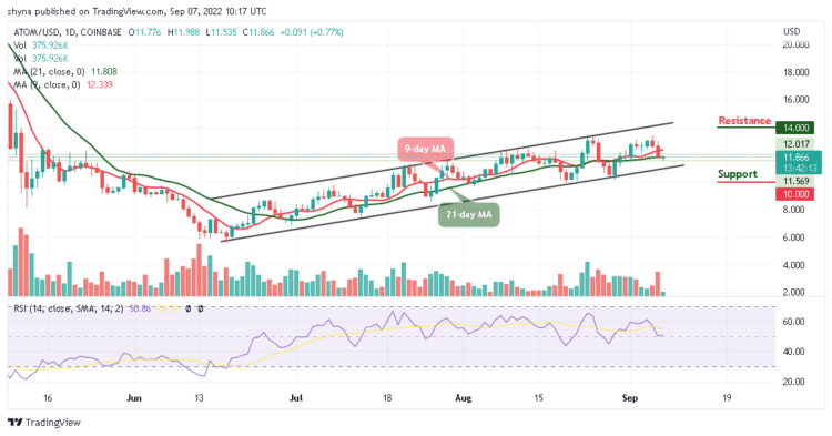 ATOM Likely to Step Above $12, TAMA to the Moon!