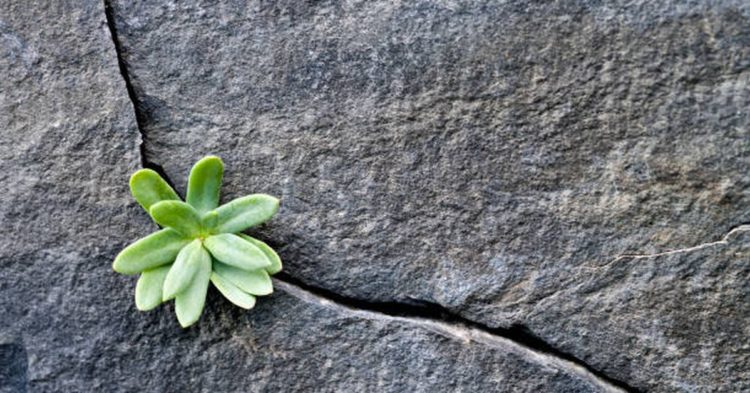 First Mover Asia: Bitcoin Holds Strong Over $19K; Why Is the Dollar Dominating?