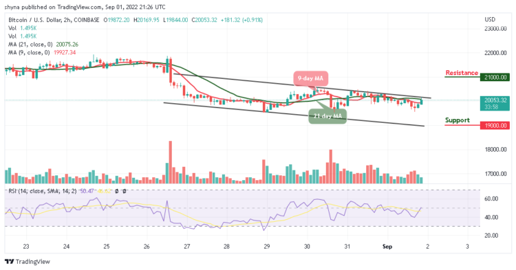 BTC Risks Fresh Drop as TAMA Experiences Inevitable Growth