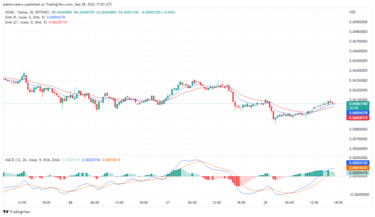 Dogecoin’s Price Analysis: DOGE Is Consolidating