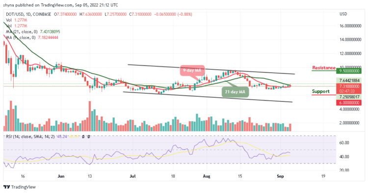 DOT Stagnant Below $7.5 Level, TAMA, a Meme Coin Game Changer
