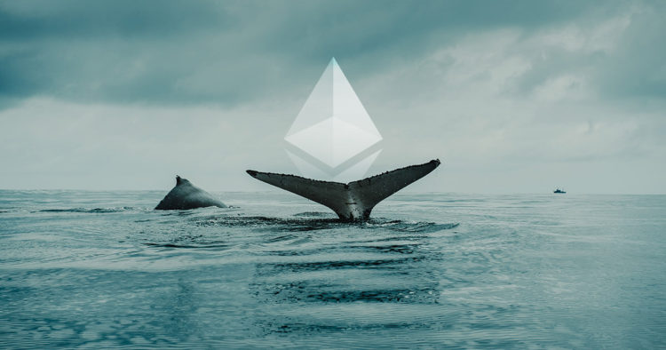 Trade Activity Shows Ethereum Whales Are Seeking Refuge In Stablecoins