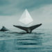 Trade Activity Shows Ethereum Whales Are Seeking Refuge In Stablecoins