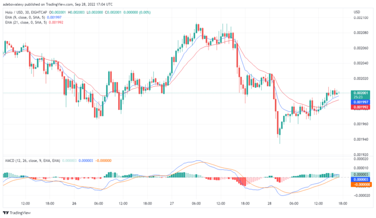 Holo Value Analysis: HOT/USD Is Minimally Bearish