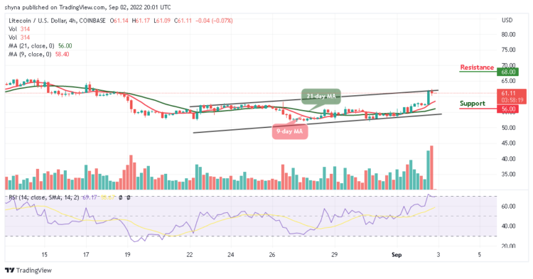 LTC Breaks Above $60 Level, Massive Gains on TAMA