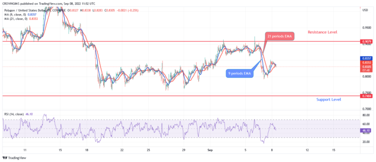 MATIC Price May Decrease to $0.74, TAMA to the Moon!