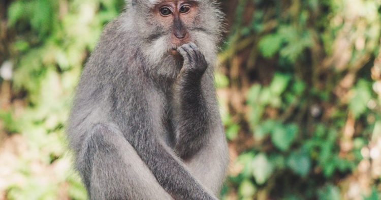 Market Wrap: Bitcoin's Price Rises Amid Uncertainty