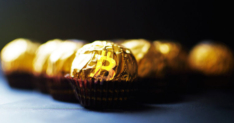 Shiba Inu burns almost 50% of initial supply; Binance ends support for USDC